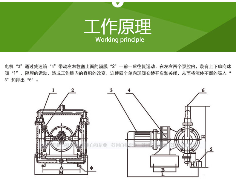 DBY型_电动隔膜泵(图3)