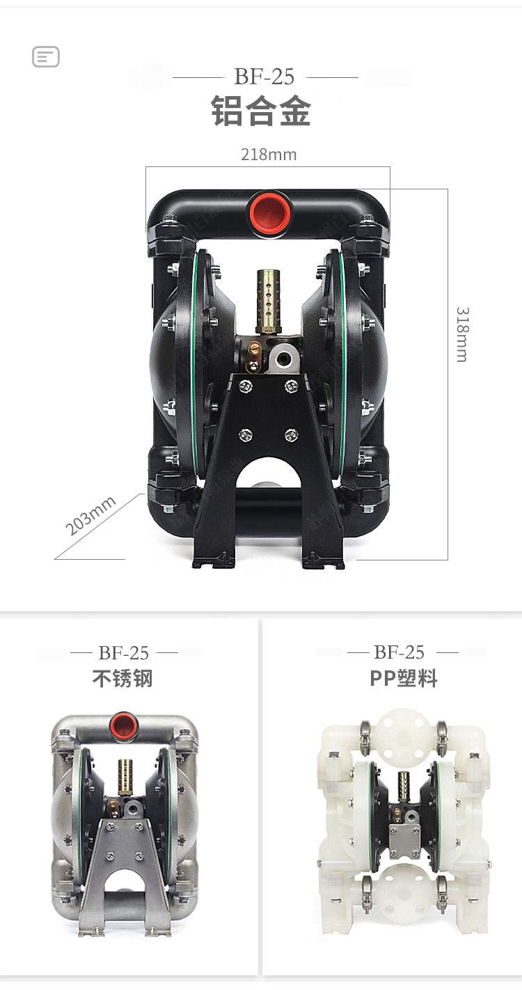 BF型大流量气动隔膜泵(图6)