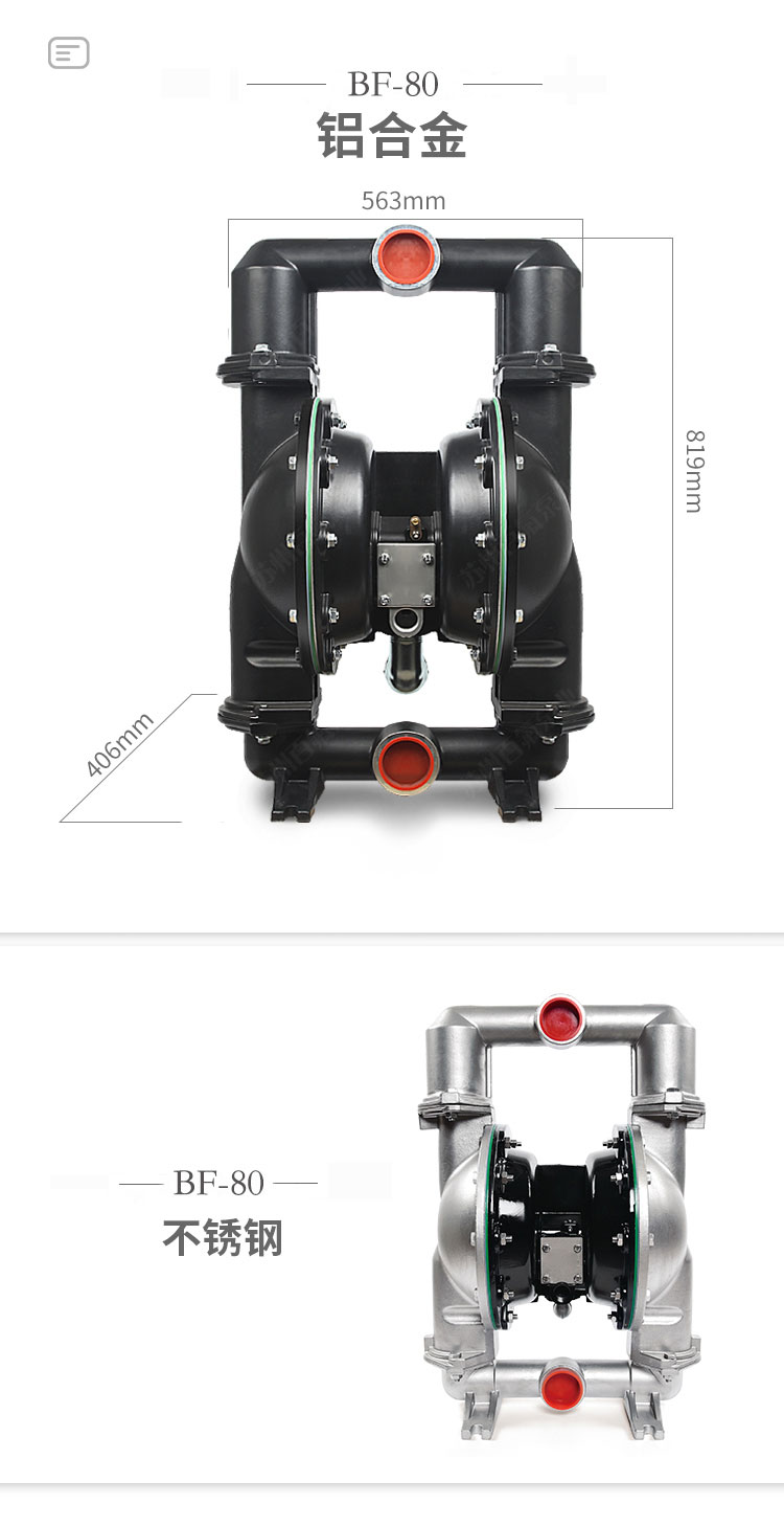 BF型大流量气动隔膜泵(图9)